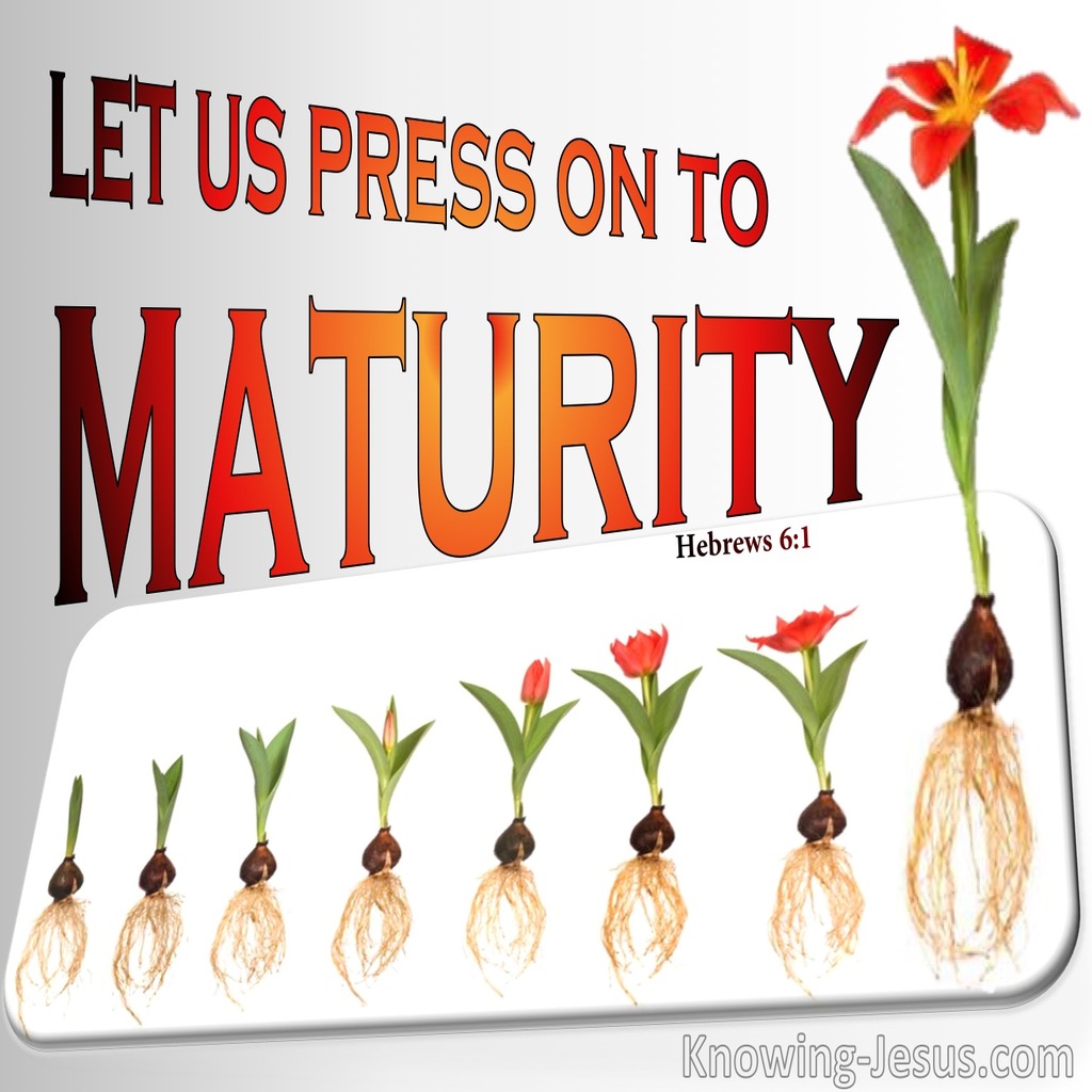 Hebrews 6:1 Press On To Maturity (red)